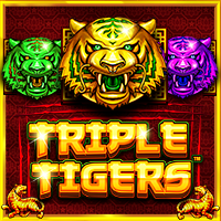Tripple tigers